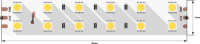 Лента светодиодная LUX, 5050, 120 LED/м, 28,8 Вт/м, 24В, IP33, Теплый белый + холодный белый (3000+6000K)