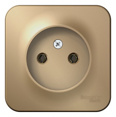 Розетка ОП BLANCA 16А 250В без шторок без заземл. изол. пласт. титан SchE BLNRA000114
